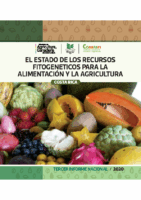 Tercer Informe sobre RFAA, Año 2020