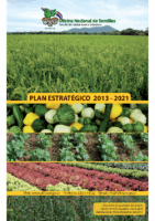 Plan Estratégico ONS 2013-2021