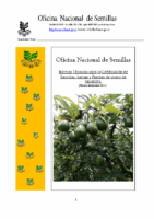 Normas técnicas de Aguacate