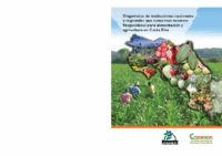 Diagnóstico Institucional sobre RFAA