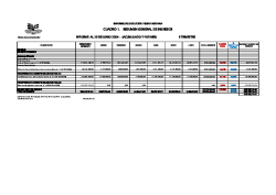 Informe Ejec. Presupuestaria (I semestre-2024)