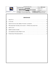 PRO-PLA (T)-02 DEFINITIVO- Elaboración del Plan Operativo Institucional (28-02-25)